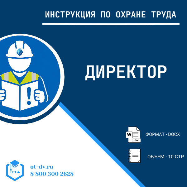 Инструкция по охране труда: Директор