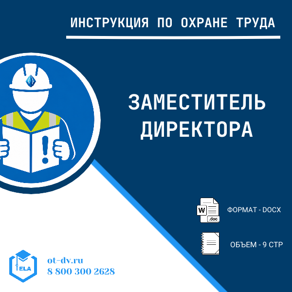 Инструкция по охране труда: Заместитель директора