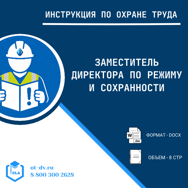 Инструкция по охране труда: Заместитель директора по режиму и сохранности